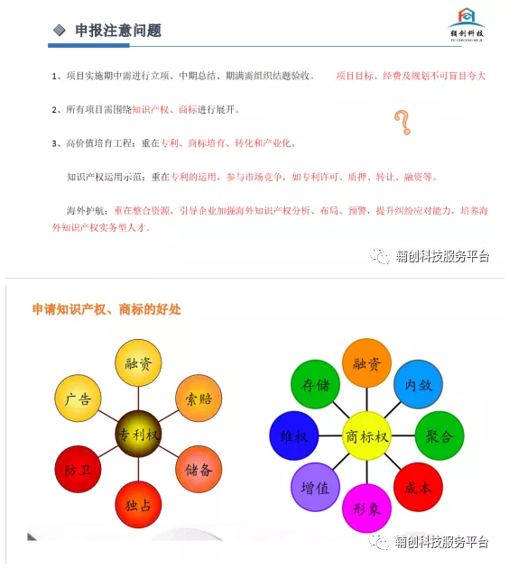 正版四不像特肖图